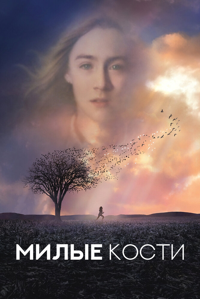 Милые кости (2009) постер